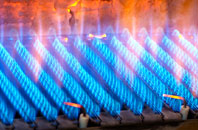 Primrose Hill gas fired boilers